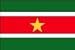 2 x 3 FT - SURINAME FLAG - OUTDOOR