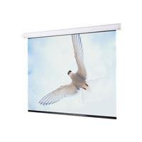 92IN Targa Motorized Projection Screen 16:9 220V
