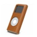Natural Leather case for iPod nano: Came