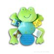 Froggie Taggie Teether and Squeaker