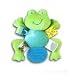 Froggie Taggie Teether and Squeaker