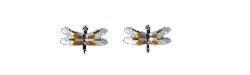 Great Blue Skimmer Dragonfly Silver and Enamel Post Earrings