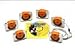 Camera Explorer Kit, Six Cameras, CD ROM, Curriculum Guide, Nylon Carry Case