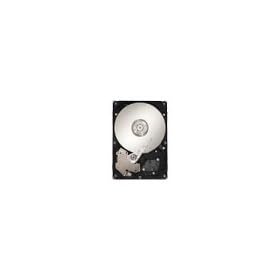 160GB Seagate/Maxtor STM3160813AS