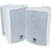 4 3-Way 100-Watt Indoor/Outdoor Loudspeakers