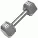 10 lb. Hex Dumbbells (Pair)