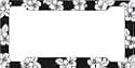 Tropical Flowers Hibiscus Black License Plate Frame (Made of Plastic)