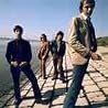 Image of Dr. Feelgood