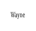 Jewelry : Clearly Charming Wayne RED HEART Laser Name Italian Charm Link
