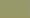 Cactus Green