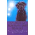 Animals as Healers and Teachers: True Stories of the Transforming Power of Animals
