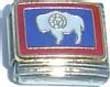 Clearly Charming Wyoming State Flag Italian Charm Bracelet Link