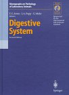 Digestive-Diseases
