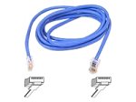 Belkin - Patch cable - RJ-45 (M) - RJ-45 (M) - 7.6 m - ( CAT 5e ) - blue