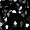 Black Mix