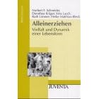 Alleinerziehen: Vielfalt und Dynamik einer Lebensform