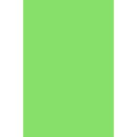 Wrinkle Free Washable 8' X 15' Green Chroma Key Photo Studio Backdrop by Boss Backdrops with Free Ground Shipping