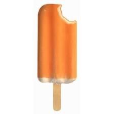 Creamsicle Die-Cut Photographic Magnet