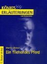 Ein fliehendes Pferd - Erl&auml;uterungen und Materialien -  (Lernmaterialien) - Martin Walser