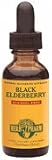 Herb Pharm Black Elderberry Glycerite