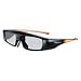 Panasonic TY-EW3D3LU 3D Active Shutter Eyewear for Panasonic 3D HDTVs (Large) (2011 Model)