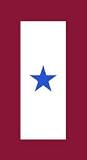 Service Star magnet
