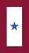 Service Star magnet