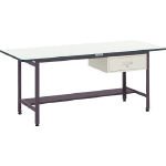 【クリックで詳細表示】トラスコ中山 (TRUSCO) EW型作業台リノ天板900×600×740引出1段 EWR0960F1