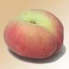 Donut Peach Tree Five Gallon