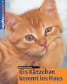 Ein K�tzchen kommt ins Haus