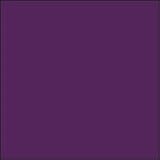 Booty Pop Microfiber Padded Hipster Panty (LG0007) XS/Purple
