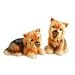 Yorkshire Terrier Salt & Pepper Set