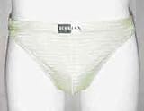 Lime Semi Sheer Stripe Bikini Brief