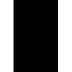 The Black Cloud