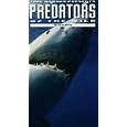 Predators/Wild Sharks