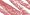 106 Toasted Pink