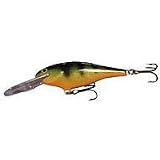 Shallow Shad Rap