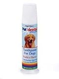 Four Paws Products Toothpaste For Dogs Chicken 4.4 Ounces - 41018