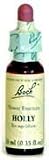 Holly Tincture 20 ml. 0.70 fl. Oz.