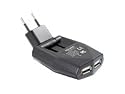 DeLock Netzteil 2 Ausgangsstecker, USB