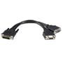 StarTech.com 8-Inch LFH 59 Male to Dual Female VGA DMS 59 Cable (DMSVGAVGA1)
