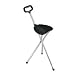 Folding Cane Seat