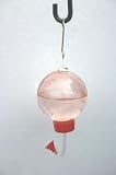 Glass Hummingbird Feeder