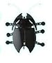 Hexbug NEW Black Delta