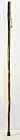 Free Form Hickory Walking Stick