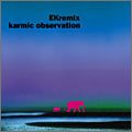 karmic observation