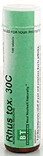 BOERICKE & TAFEL Rhus Toxicodendron 30C 100 tabs