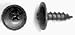 #10 Black Honda & Foreign Screw (Qty:50) Gripper Box