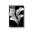 Olympus PICTORICO PHOTO PAP-GLOSSY 13X19 20SHTS ( 200813 )