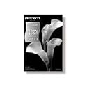 Olympus PICTORICO PHOTO PAP-GLOSSY 13X19 20SHTS ( 200813 )